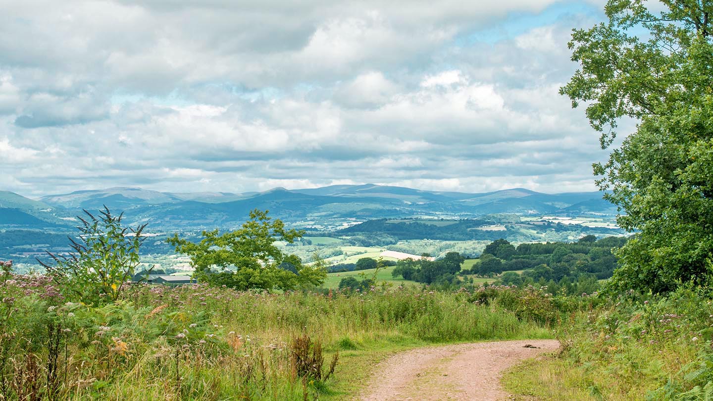 Tried and tested walks in Monmouthshire Wentwood Niche